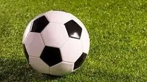 费尔明：赛程与休息非借口，表现卓越显实力